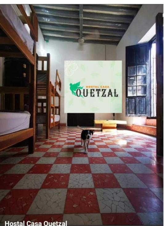 Hostel Casa Quetzal Campeche Eksteriør bilde